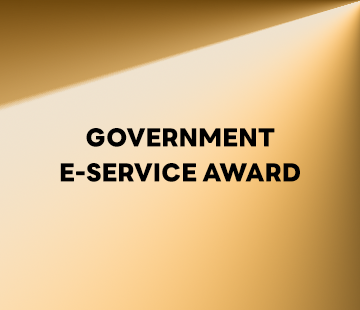 Government E-Service Award